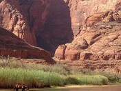 Glen Canyon Recreation Area