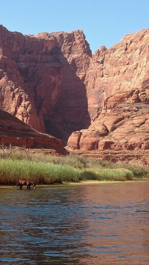 Glen Canyon Recreation Area