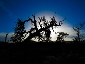 Craters of the Moon National Monument