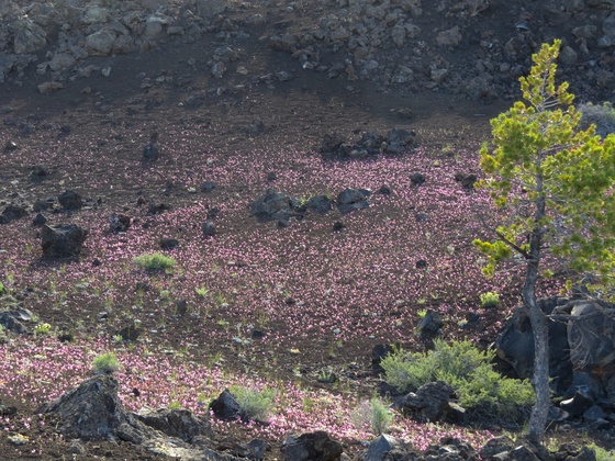 Craters of the Moon National Monument