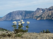 Crater Lake National Park