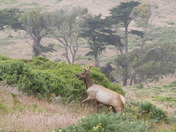 Point Reyes National Seashore