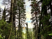 Uinta-Wasatch-Cash National Forest