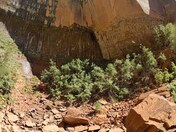 Zion National Park