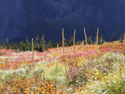 Glacier National Park