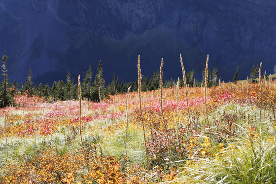 Glacier National Park