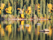 Glacier National Park