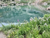 Uinta National Forest
