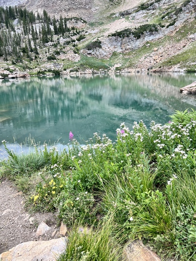 Uinta National Forest