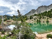 Uinta National Forest