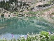 Uinta National Forest