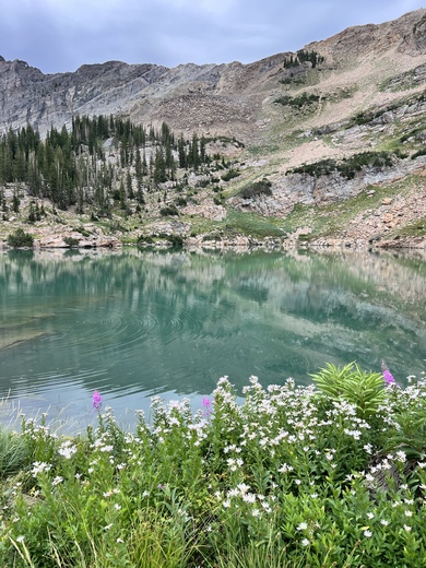 Uinta National Forest
