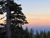 Mount Adams