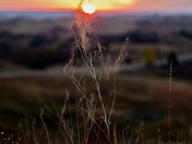 Buffalo Gap Recreation Area - Little Missouri National Grasslands