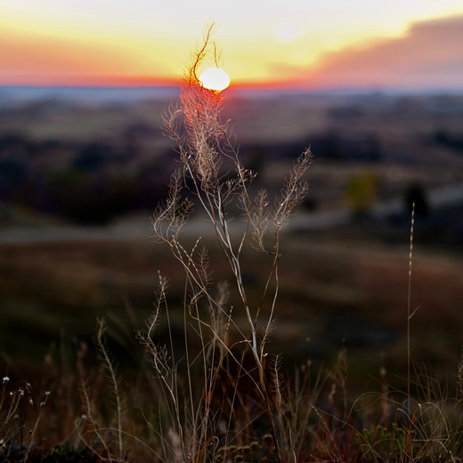 Buffalo Gap Recreation Area - Little Missouri National Grasslands