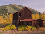 Ashcroft Ghost Town - White River National Forest