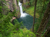 Umpqua National Forest