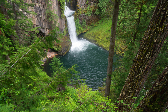 Umpqua National Forest