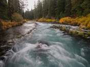 Deschutes National Forest