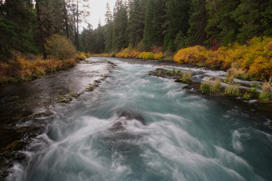 Deschutes National Forest