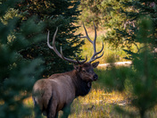 Rocky Mountain National Park
