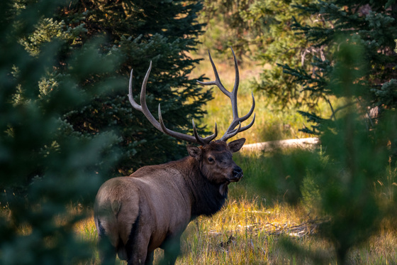 Rocky Mountain National Park