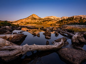 Medicine Bow Routt National Forest