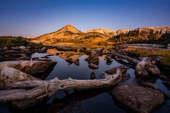 Medicine Bow Routt National Forest