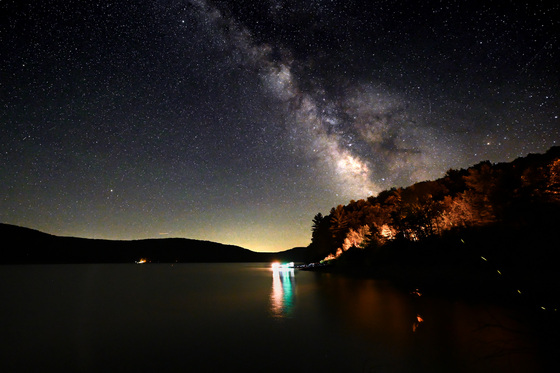 Allegheny National Forest