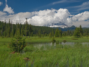 Deschutes National Forest
