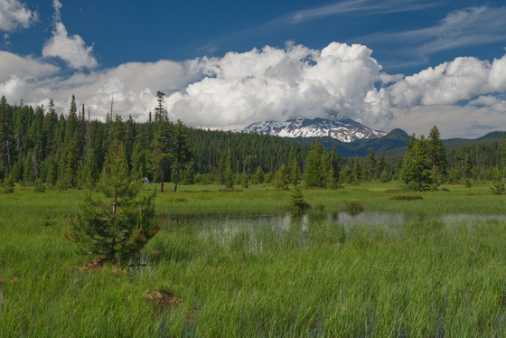 Deschutes National Forest