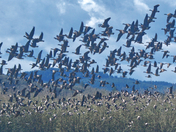 William L. Finley National Wildlife Refuge