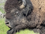 Badlands National Park