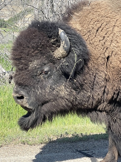 Badlands National Park