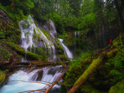 Gifford Pinchot National Forest