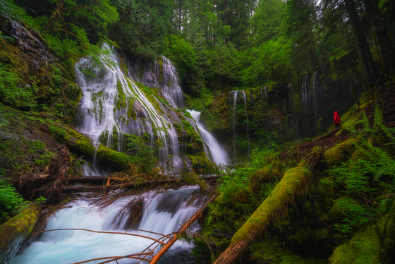 Gifford Pinchot National Forest