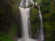 Gifford Pinchot National Forest