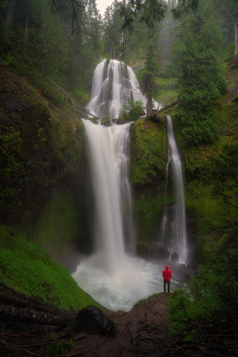 Gifford Pinchot National Forest