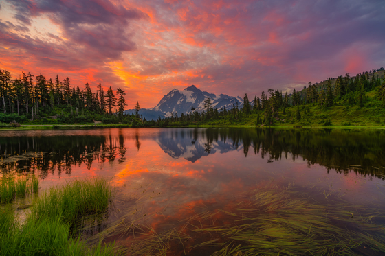 Mt. Baker - Snoqualmie National Forest