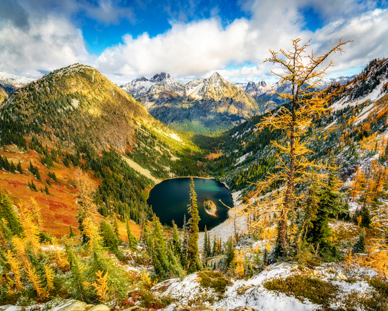 Okanogan-Wenatchee National Forest