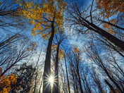 Presquile Provincial Park