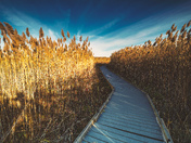 Presquile Provincial Park