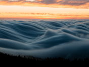 Mount Tamalpais State Park