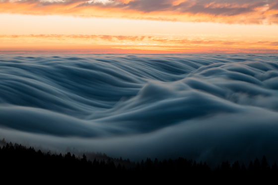 Mount Tamalpais State Park