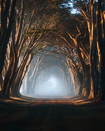 Point Reyes National Seashore