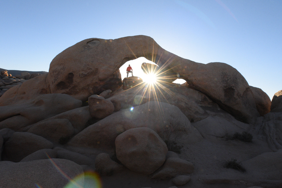 Joshua Tree National Park