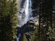 Yosemite National Park
