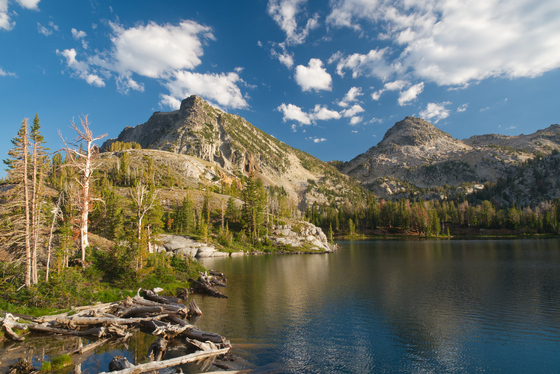 Wallowa-Whitman National Forest