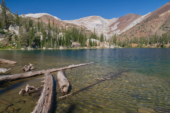 Wallowa-Whitman National Forest