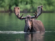 Glacier National Park